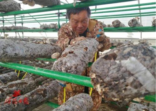 娱乐生活 第7页
